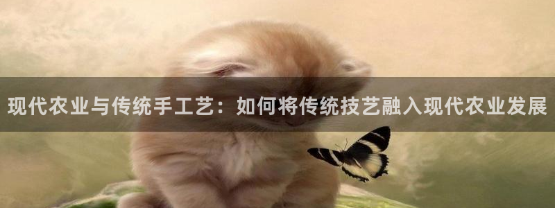 FH至尊平台怎样