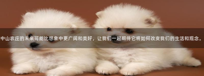 FH至尊app