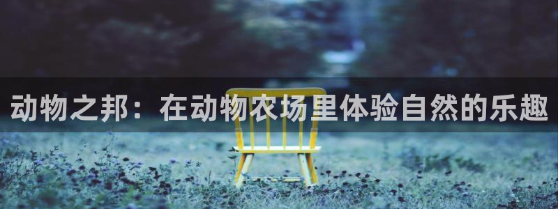 fh至尊游戏彩票