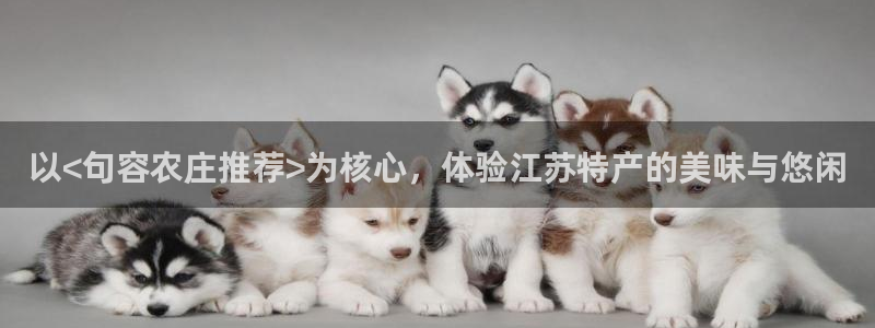 fh至尊经典