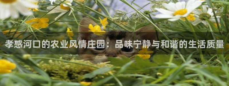 fh凤凰至尊app