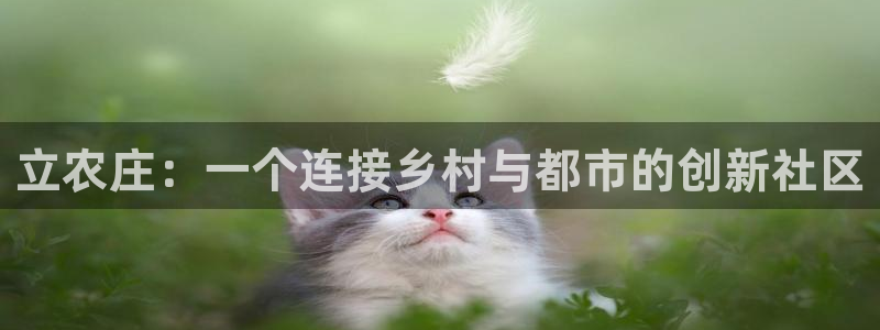 凤凰FH至尊