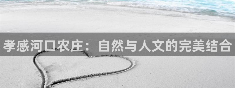 fh至尊平台正常登录