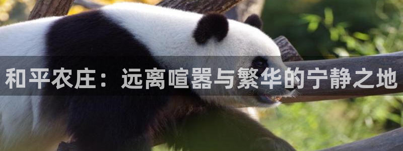 fh至尊平台正常登录