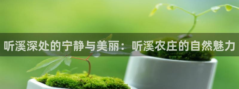 FH至尊平台登录