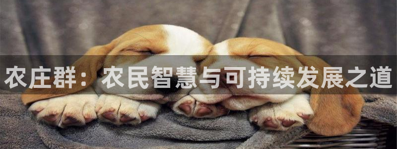 fh至尊平台登录wap