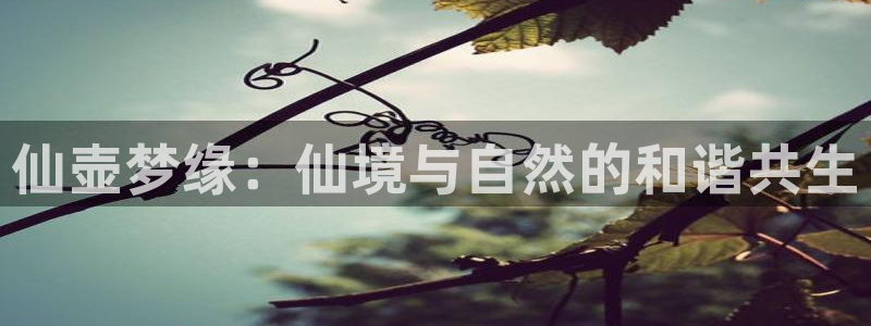 凤凰娱乐FH至尊地址