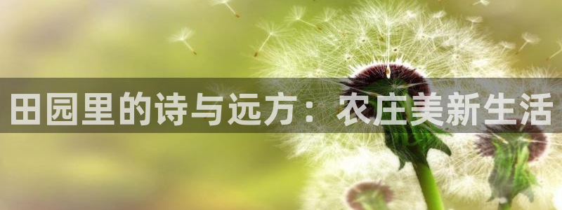 fh至尊是凤凰平台吗