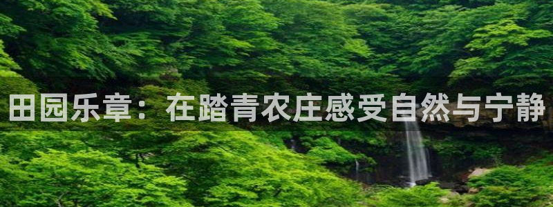 FH至尊娱乐平台