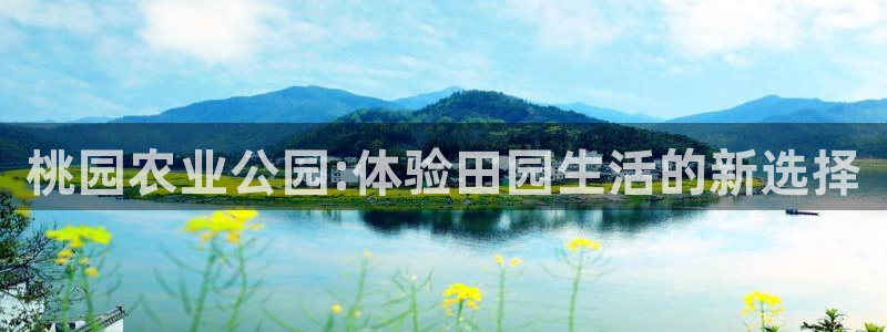 fh至尊提现不了