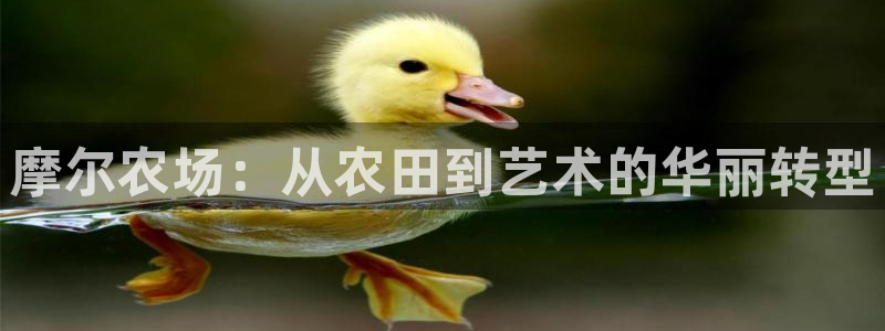 fh至尊平台下载