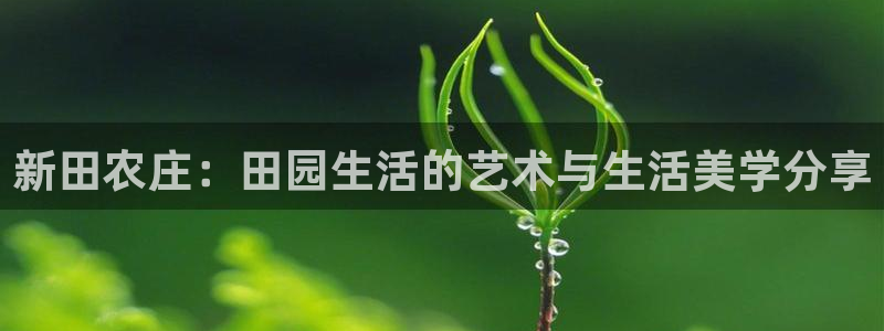 FH至尊出问题了