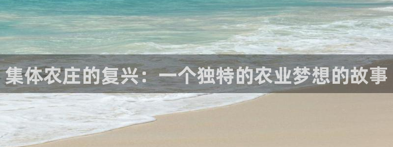 fh至尊官方旗舰店