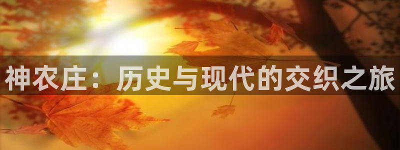 FH至尊平台登录