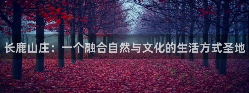 fh至尊平台坑人