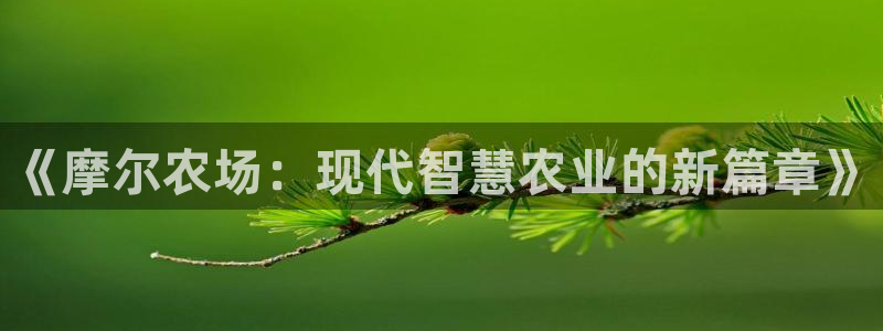 FH至尊娱乐平台