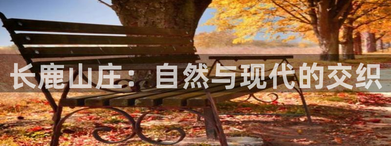 FH至尊是正规平台吗