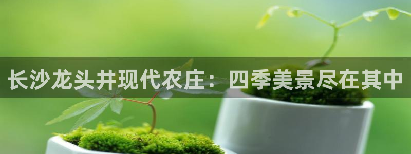 FH至尊平台注册