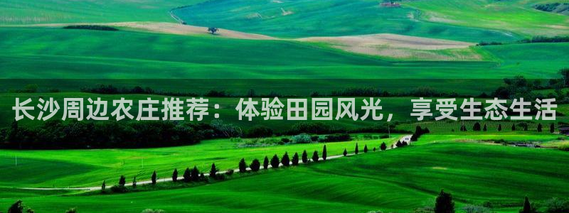 fh至尊官方旗舰店