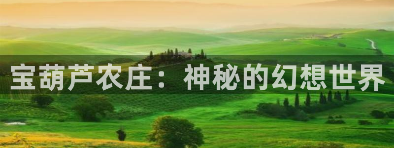 fh至尊官方旗舰店