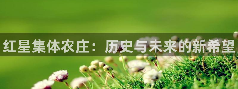 fh至尊官方旗舰店