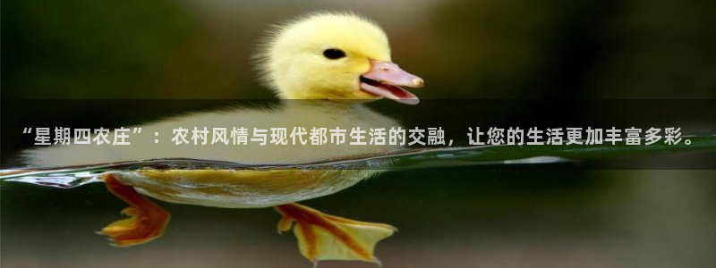 fh至尊app靠谱吗