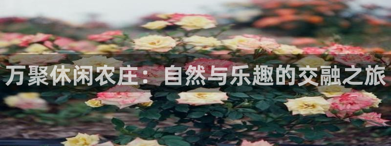 fh至尊游戏代理