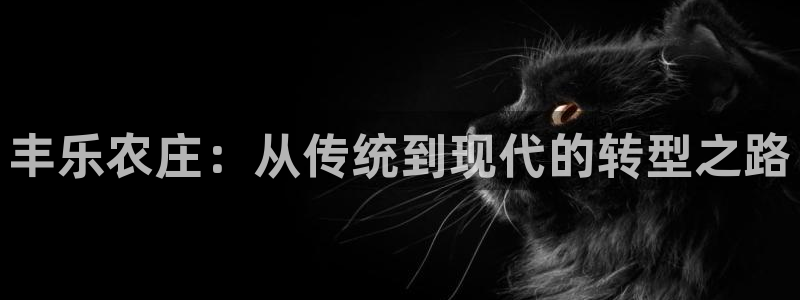 fh至尊平台怎么打不开了呢