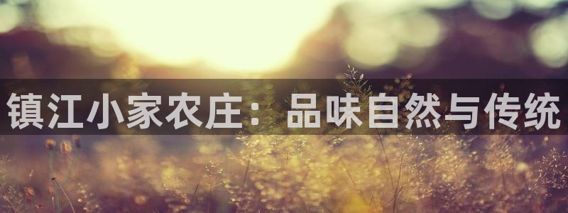 fh至尊怎么改密码