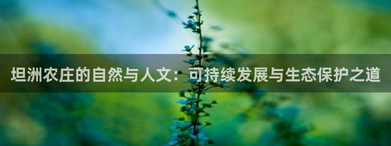 fh至尊香港办事处