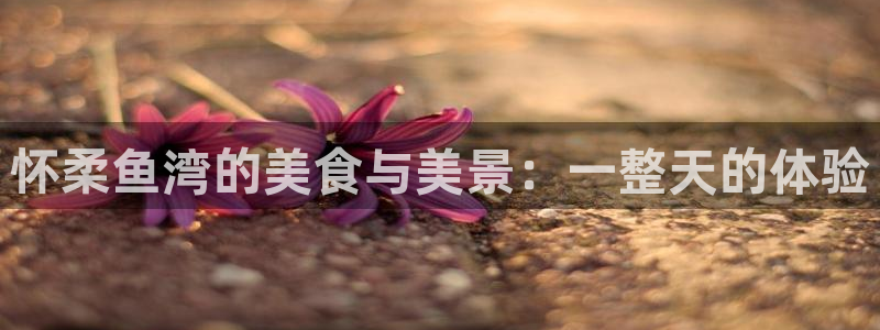 fh至尊游戏玩法