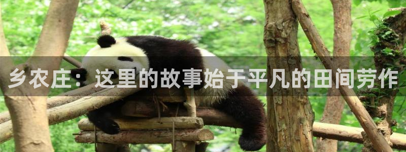 fh至尊平台安全密码忘记了