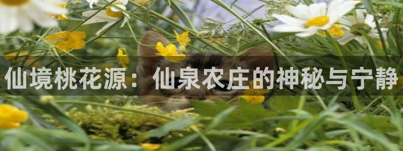 fh至尊平台黑钱