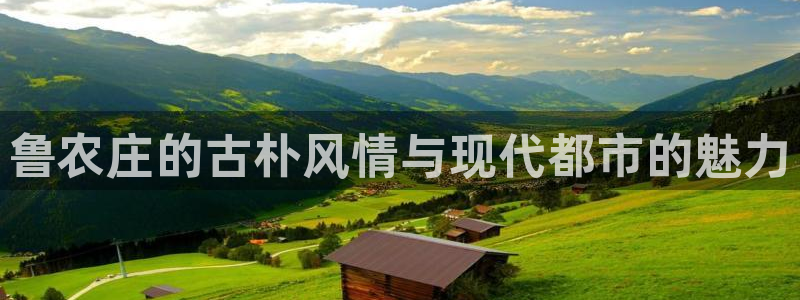 FH至尊属于哪里啊公司