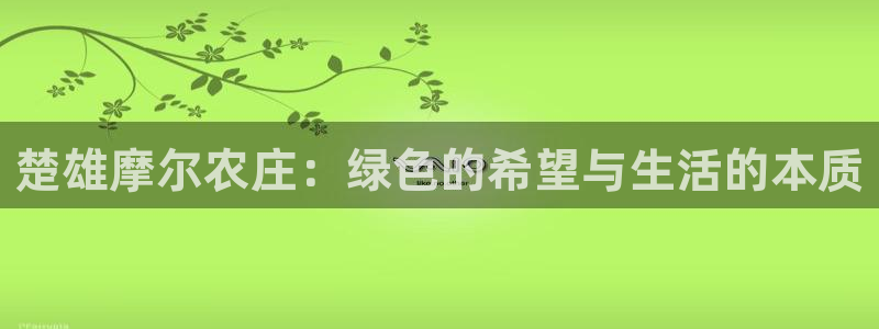 凤凰娱乐FH至尊