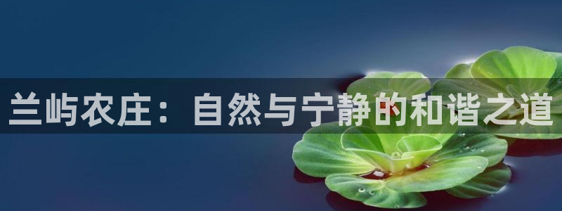 FH至尊是什么意思