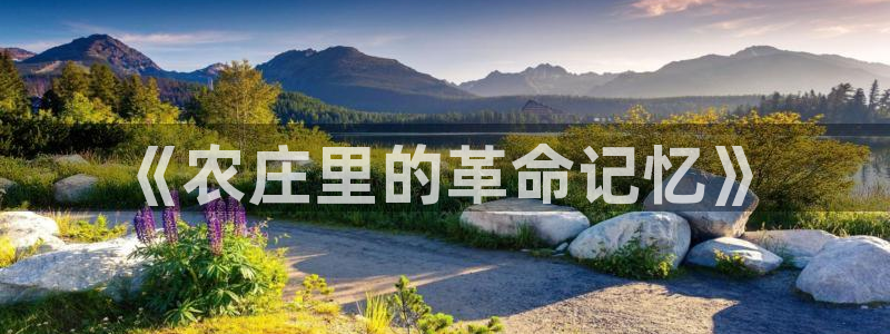 FH至尊出问题了