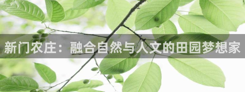 FH至尊登录官网
