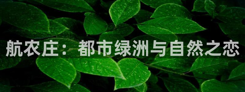 fh至尊网页登入
