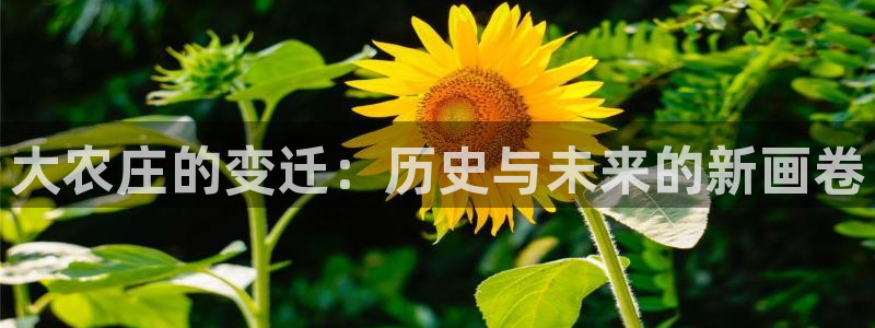 FH-FH至尊版的功能