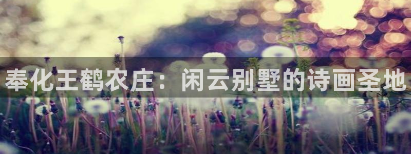 fh凤凰至尊贴吧