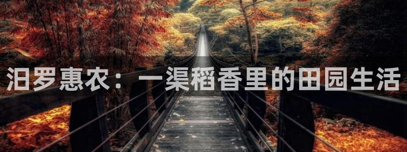 fh至尊怎么改密码