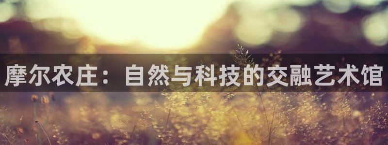 fh至尊品牌介绍