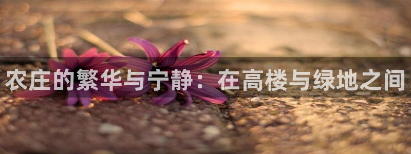 FH至尊平台是什么平台