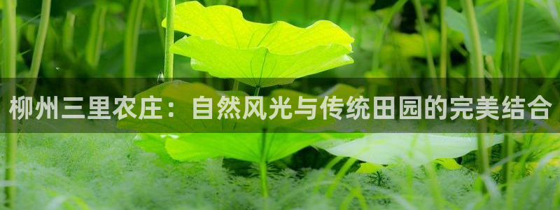 fh至尊怎么安装