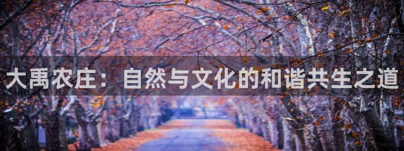 fh至尊平台安全密码忘记了