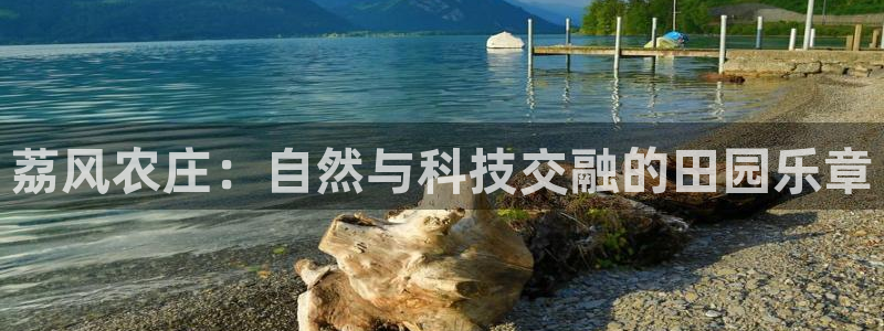 FH至尊官方入口