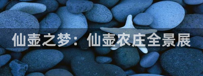 fh至尊凤凰是赌博