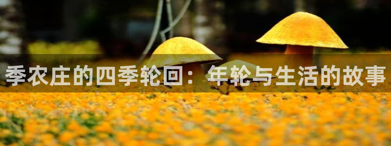 FH至尊平台注册