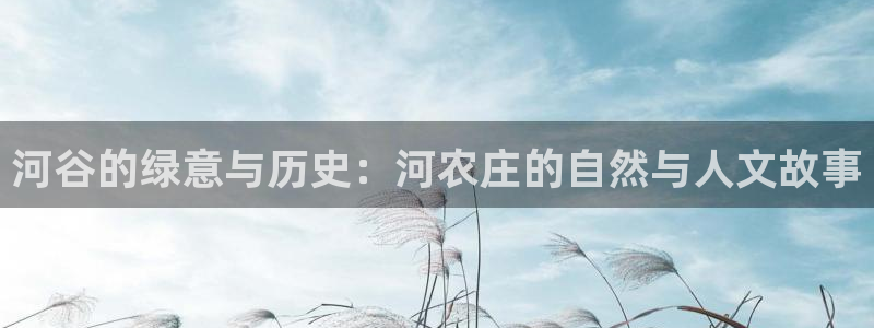 fh至尊凤凰代理